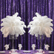 50cm-60cm Ostrich Feathers (Pack of 5)